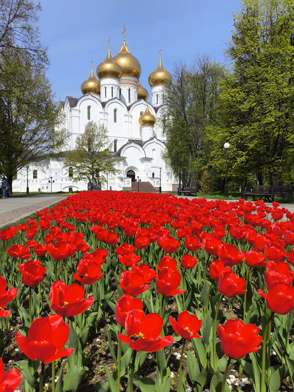 Добро пожаловать в Ярославль!