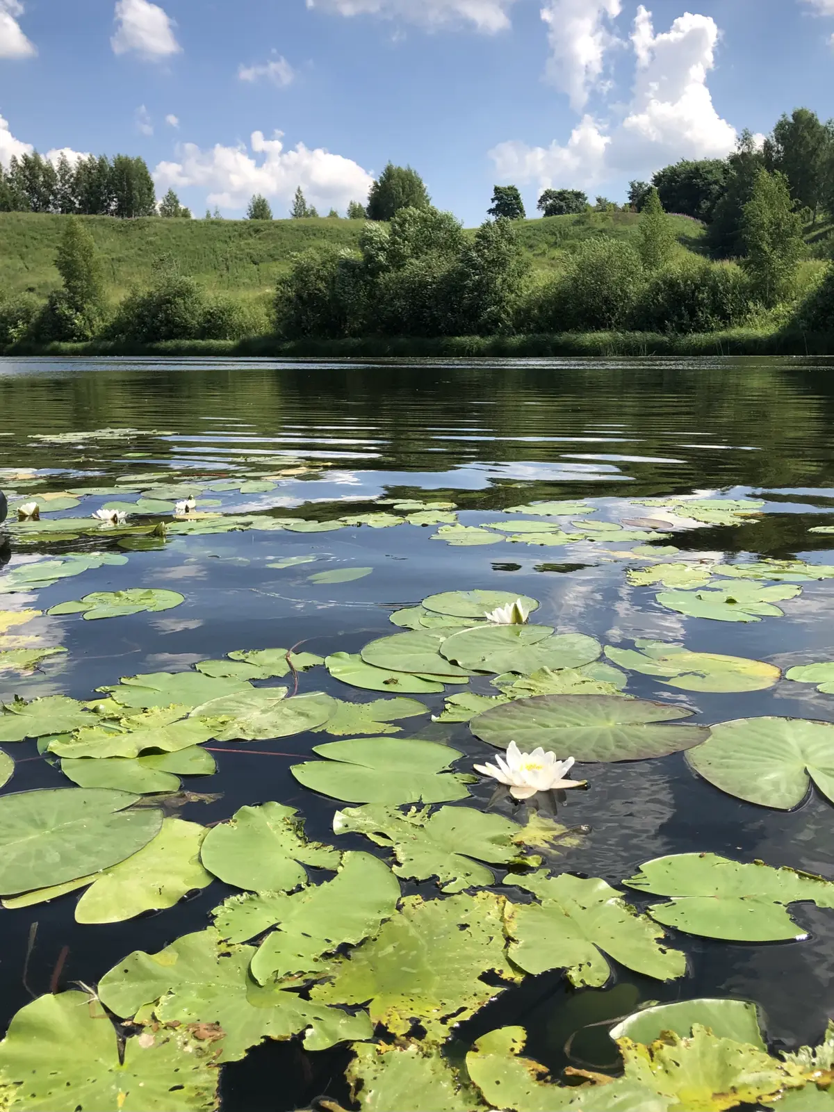 Прогулка по водным просторам Ярославля